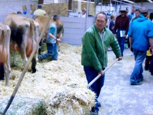 Dale cleaning the cows bedding.